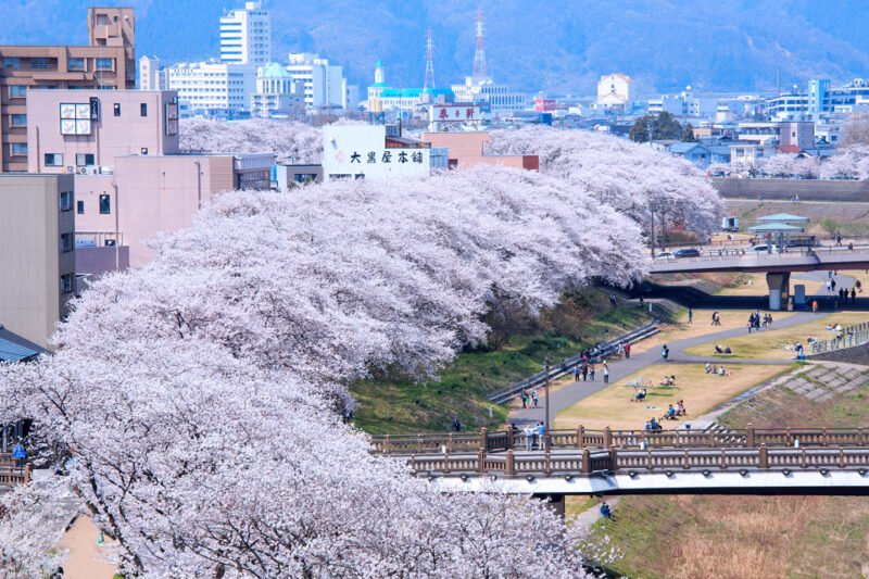 🌳 아스와야마 공원 (足羽山公園) 이미지 8
